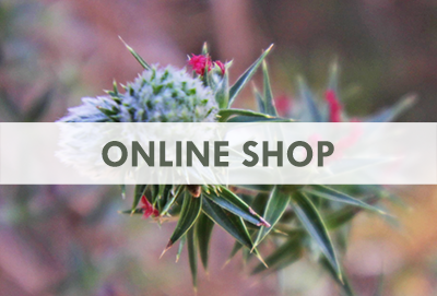 Visit the SAAJA Online Shop